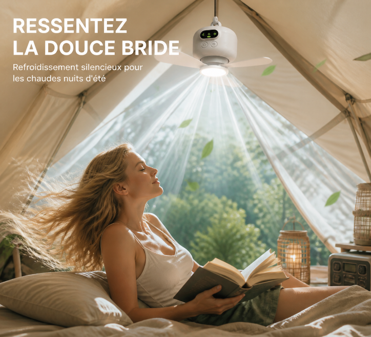 🎁 2 achetés = Livraison offerte !✈️ Ventilateur de Plafond Rechargeable avec Éclairage LED