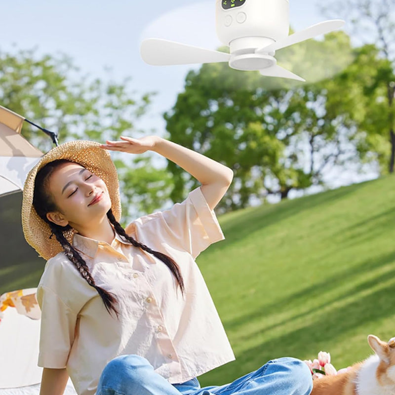 🎁 2 achetés = Livraison offerte !✈️ Ventilateur de Plafond Rechargeable avec Éclairage LED