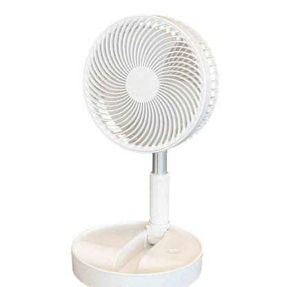 Portable Multifunctional Telescopic Floor Fan