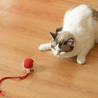 Boule Roulante Automatique Intelligente pour Animaux de Compagnie