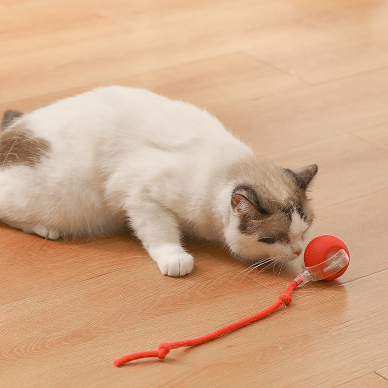 Boule Roulante Automatique Intelligente pour Animaux de Compagnie