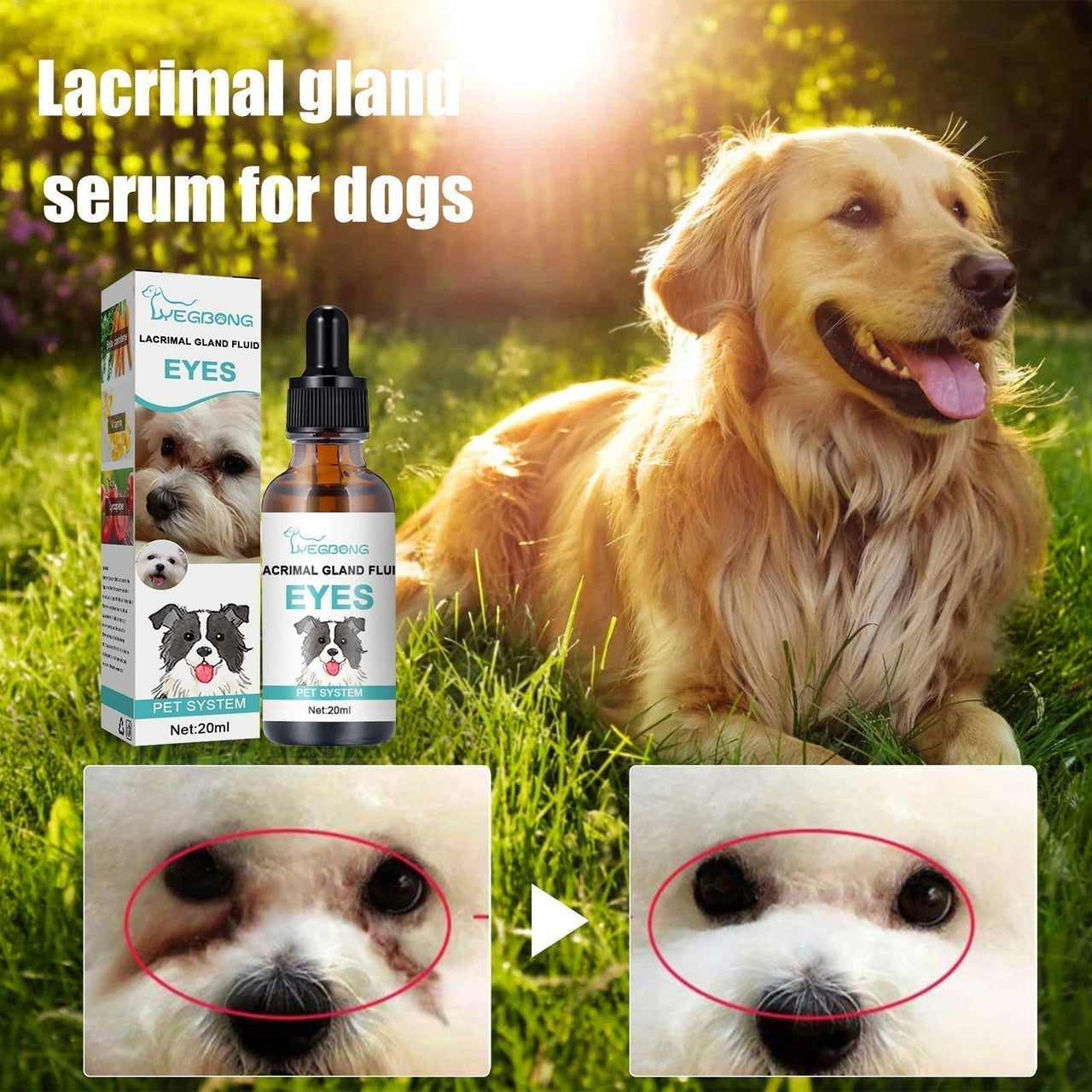 🐱🐶 Nettoyant et gouttes pour les yeux des animaux de compagnie – Formule douce au pH équilibré, sans danger pour les chiens et les chats